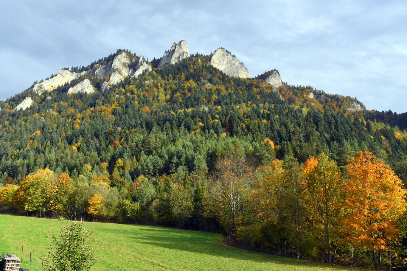 Szlak na Trzy Korony ze Sromowiec Niżnych prowadzi przez przez Wąwóz Szopczański i Przełęcz Szopki.