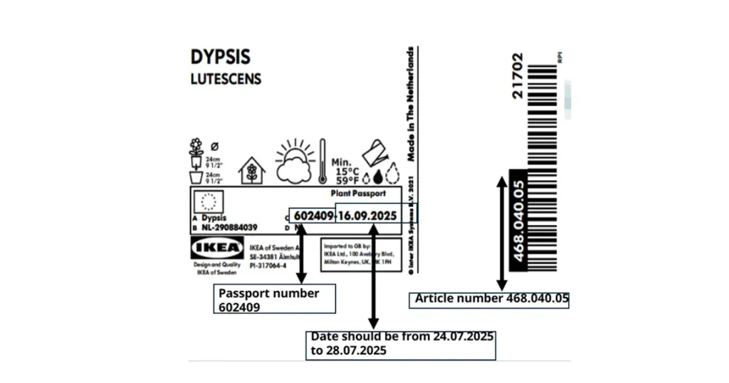Etykieta produktu roślinnego DYPSIS Lutescens z informacjami dotyczącymi pielęgnacji, warunków przechowywania, numerem paszportu rośliny, numerem artykułu oraz kodem kreskowym.