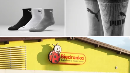 Musisz to zobaczyć! Puma w Biedronce za mniej niż 25 zł