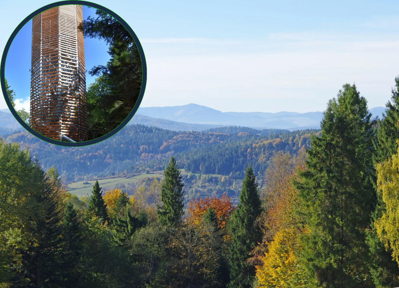 Na wieżę widokowa na Łysuli prowadzi przyjemny i łatwy szlak 