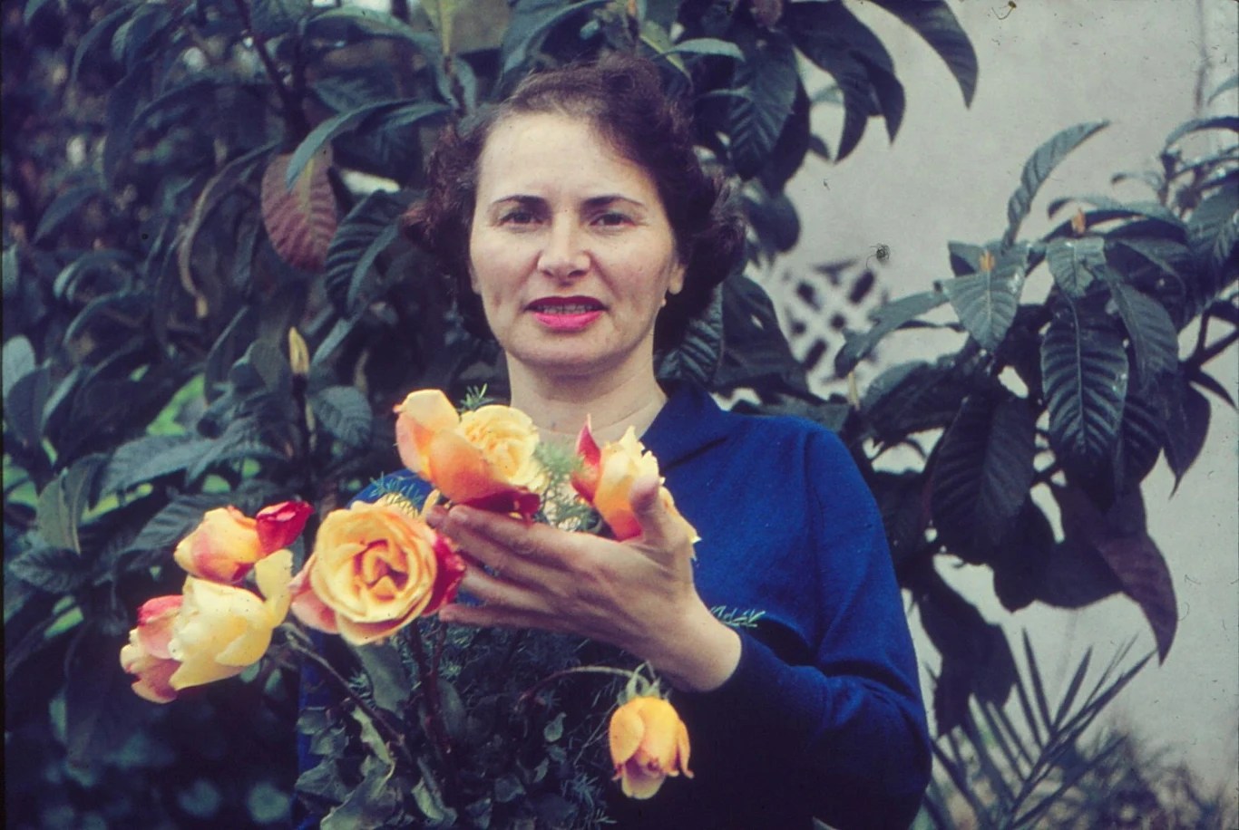 Rebeka, lata 60.