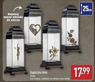 Znicz