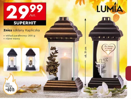 Znicz Lumia
