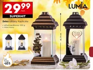 Znicz Lumia