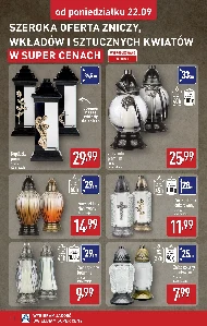 Znicz Premium