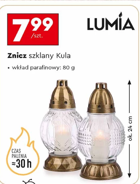 Znicz Lumia