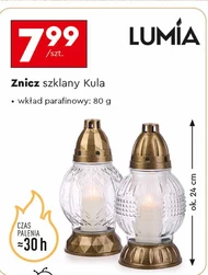 Znicz Lumia