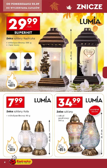 Znicz Lumia