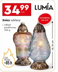 Znicz Lumia