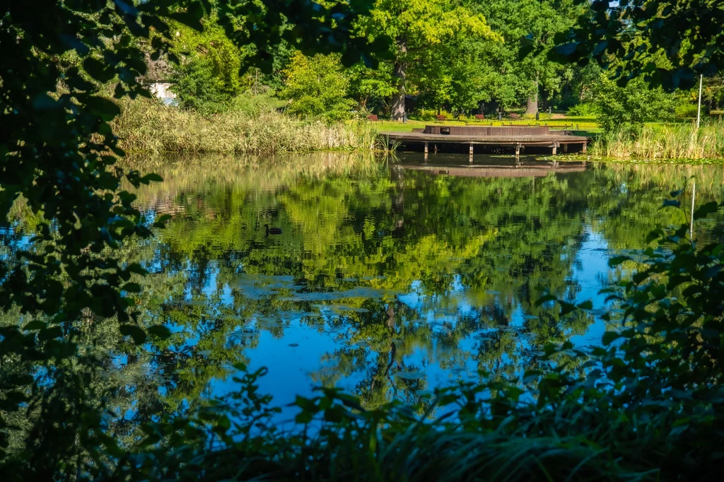 Park w Ochli fot. Bartosz Mirosławski/Urząd Miasta Zielona Góra
