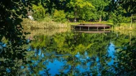 Park w Ochli fot. Bartosz Mirosławski/Urząd Miasta Zielona Góra