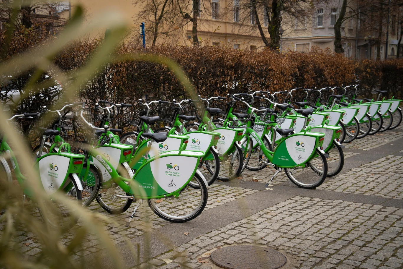 Rząd zielono-białych rowerów miejskich ustawionych na stacji wypożyczalni obok chodnika, otoczenie miejskie z liśćmi i krzewami w tle.