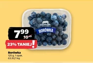Borówka amerykańska z Zieleniaka