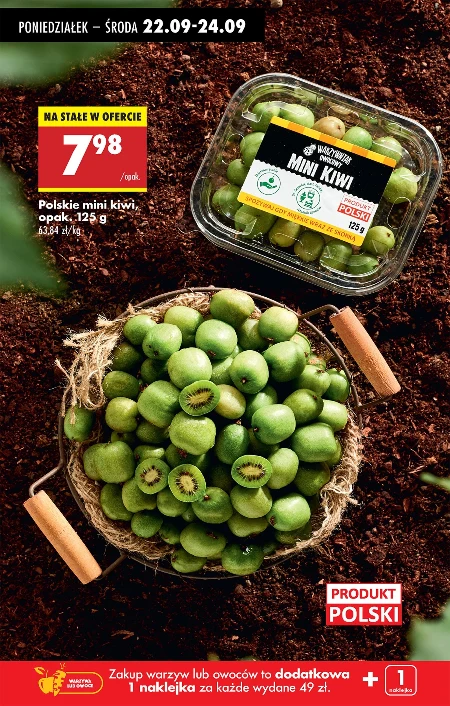 Kiwi Polski