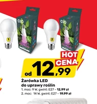 Żarówka E