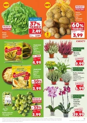 Jesienne hity w supercenach - Kaufland