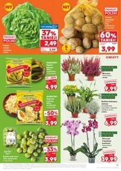 Promocje, które się opłacają - Kaufland
