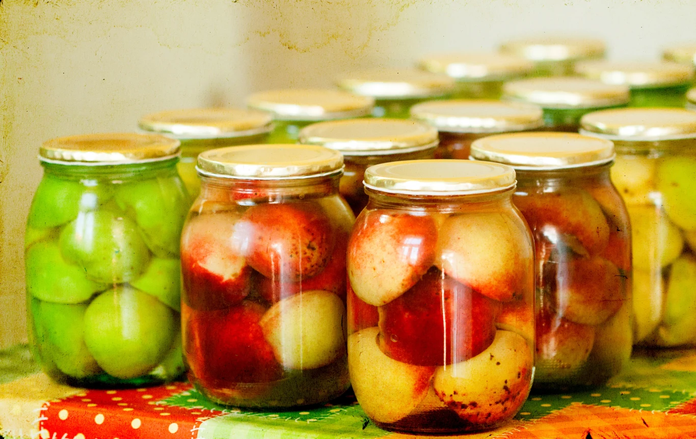 Babcie jadły regularnie, a dzisiaj mało kto o nich pamięta. Warto powrócić do kiszonych jabłek, gdyż są pełne zdrowia i smaku.