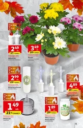Przeboje cenowe od Auchan Hipermarket