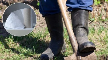 Rolki po papierze toaletowym mogą przydać się w ogrodzie. Sprawdź, jak je wykorzystać