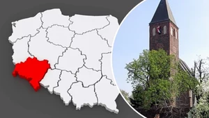 Owady zamiast złota. Odkrycie w grobie dziecka sprzed 2,5 tys. lat