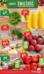 Super okazje od środy do wtorku – Polomarket