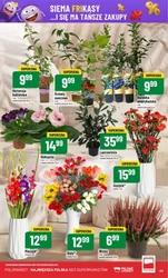 Super okazje od środy do wtorku – Polomarket