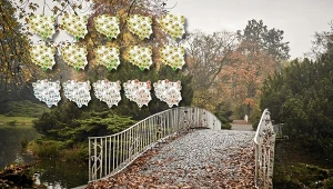 Po chłodniejszym początku kalendarzowej jesieni pojawi się szansa na ocieplenie. Druga połowa października na wschodzie Polski może być przyjemniejsza