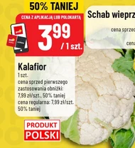 Kalafior Polski
