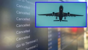 Jak duży chaos wywołały drony nad lotniskami? Flightradar ujawnia liczby 