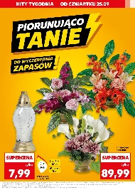 Znicz