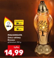Znicz