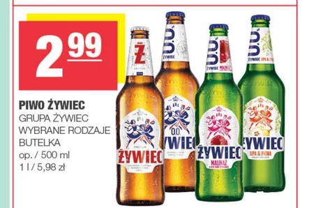 Piwo Żywiec