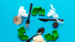 Inżynierzy tworzą jadalny plastik ze zwykłych śmieci