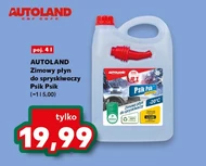 Зимова рідина для омивача вітрового скла Autoland