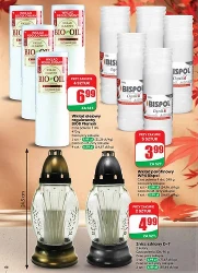 Jesienne smaki i okazje - Dino
