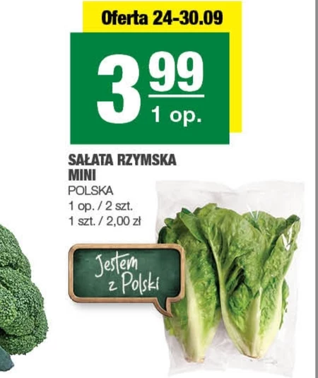 Sałata rzymska Polski