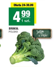 Брокколі Polski