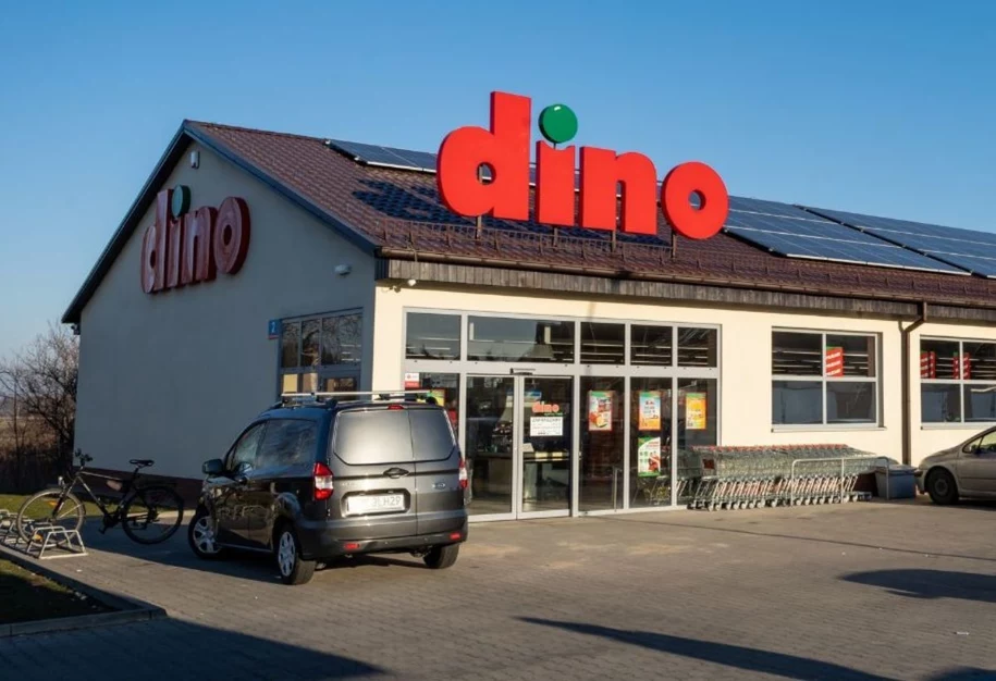 Market Dino - mat. własne