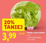 Sałata lodowa Polski