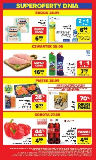 Ręcznik papierowy Regina
