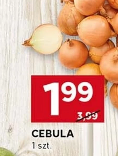 Цибуля