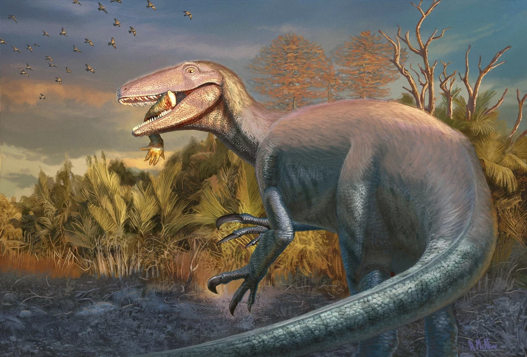 Joaquinraptor to megaraptor, który został znaleziony z ostatnim posiłkiem w pysku
