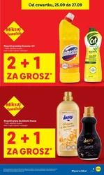 Świeżość się opłaca w Lidlu