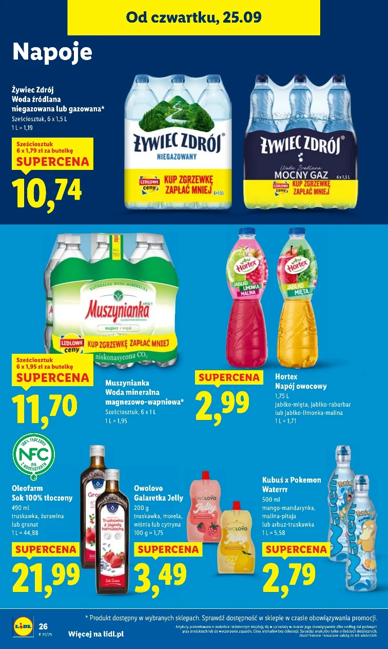 leaflet page preview image