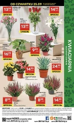 Tydzień azjatycki w Delikatesach Centrum