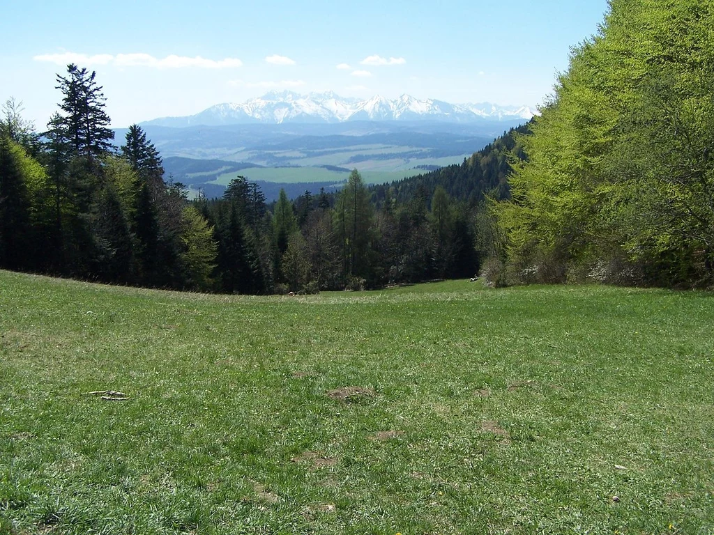 Zielona polana otoczona lasem, w tle panorama ośnieżonych szczytów gór, niebo jasne i pogodne