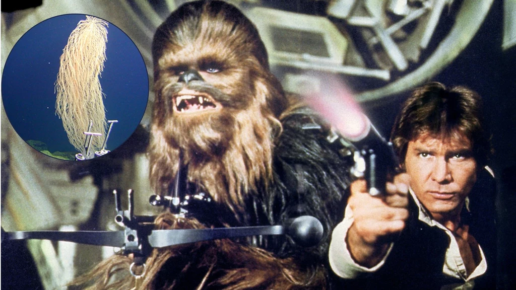 Chewbacca oraz Han Solo celują z broni laserowej, stojąc na tle wnętrza statku kosmicznego, w lewym górnym rogu widoczny okrąg z wyeksponowaną strukturą przypominającą roślinę lub korzeń.