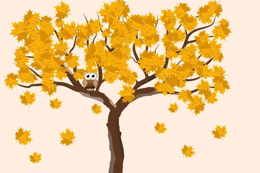Jesienią chcesz ogrzać się bliskością Rozłożyste drzewo z brązowym pniem i gałęziami, pokryte żółtymi, jesiennymi liśćmi; pośród gałęzi siedzi sowa o dużych, okrągłych oczach, część liści opada na ziemię.