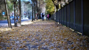 Masz chodnik przy domu? Za to niedopatrzenie grozi 5 tys. złotych kary